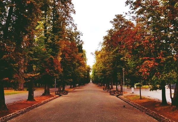 7 must-see places in Cluj-Napoca (Transylvania): photo 3