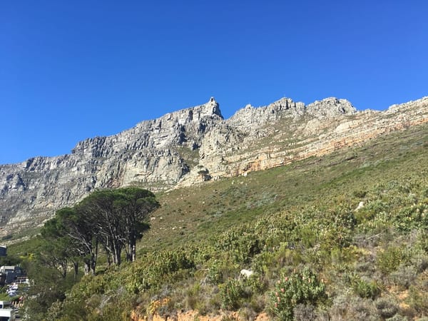 Cape Town: Tavern of the seas: photo 4