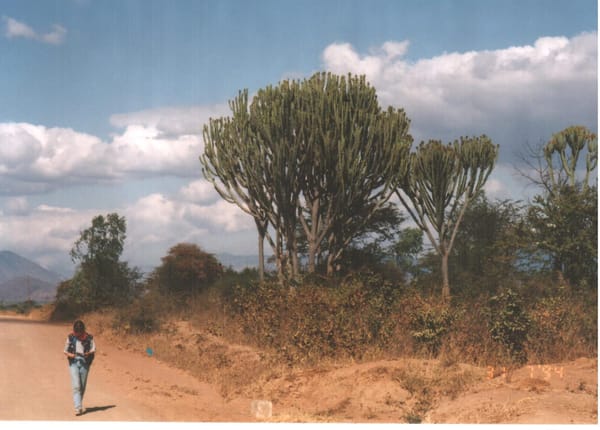 Africa  - the Beginning of a Lifetime Adventure: photo 2