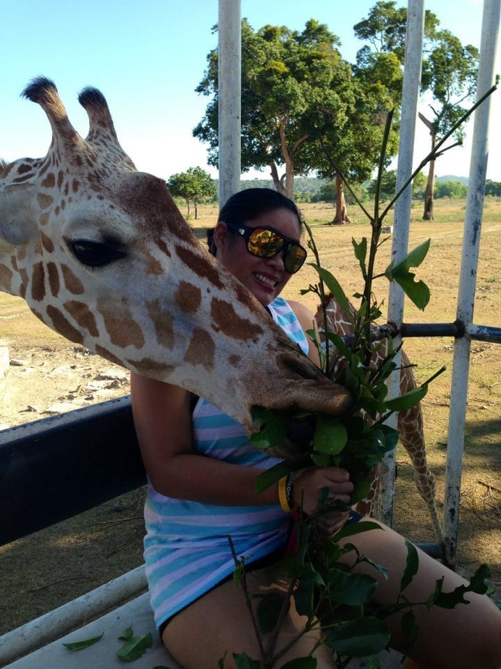 Calauit Safari Park: An animal lover