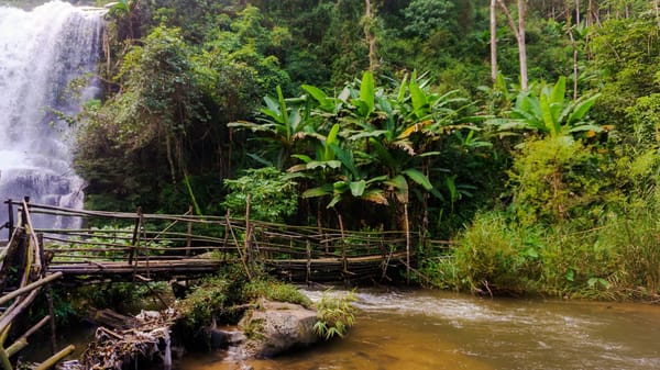 5 cool things to do in Chiang Mai.: photo 4