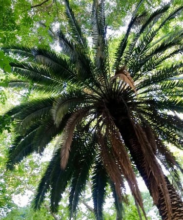 A Travel Guide to Lisbon: photo 1