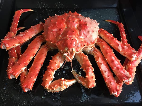 Sakhalin island: what travelers can find on the edge of the world: photo 7