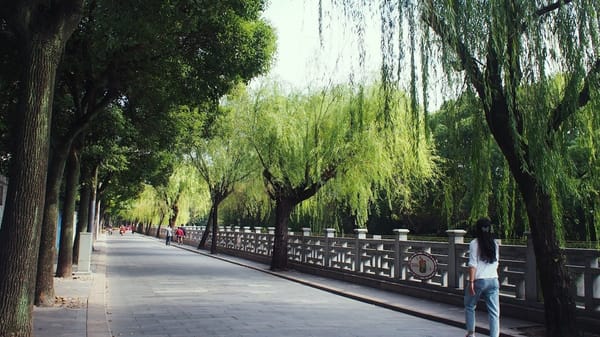 Xuhui, Shanghai: Guilin Park and Kangjianyuan: photo 5