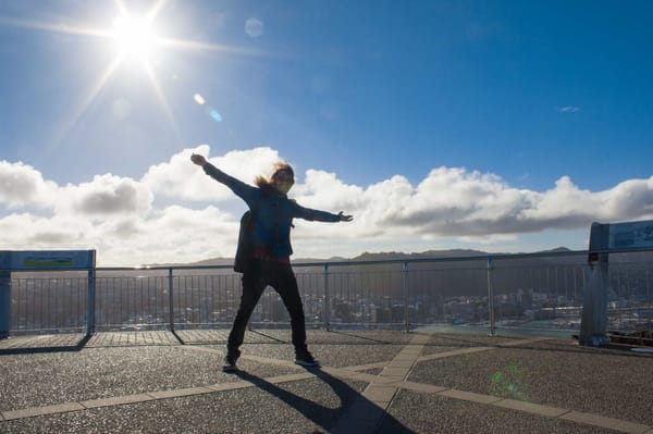 Wellington, New Zealand. Things to do that are free: photo 3