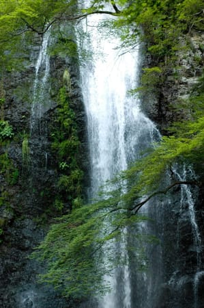 Hidden Waterfalls in Osaka and Mie: photo 4