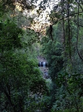 Hidden Waterfalls in Beechmont, Queensland: photo 3