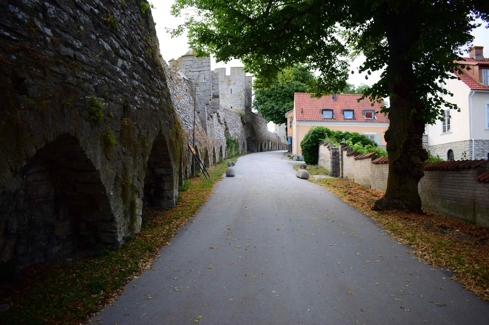 Discover the beauty of Gotland