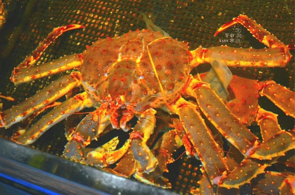 Winter Holiday in Hokkaido Japan for 7 days 5 nights: photo 28