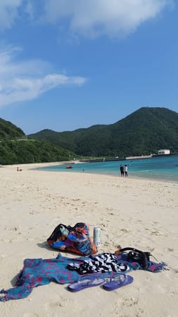 Island Off Okinawa, Japan: photo 4