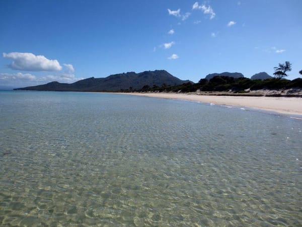 Tasmania:4 places you must visit (Australia): photo 6