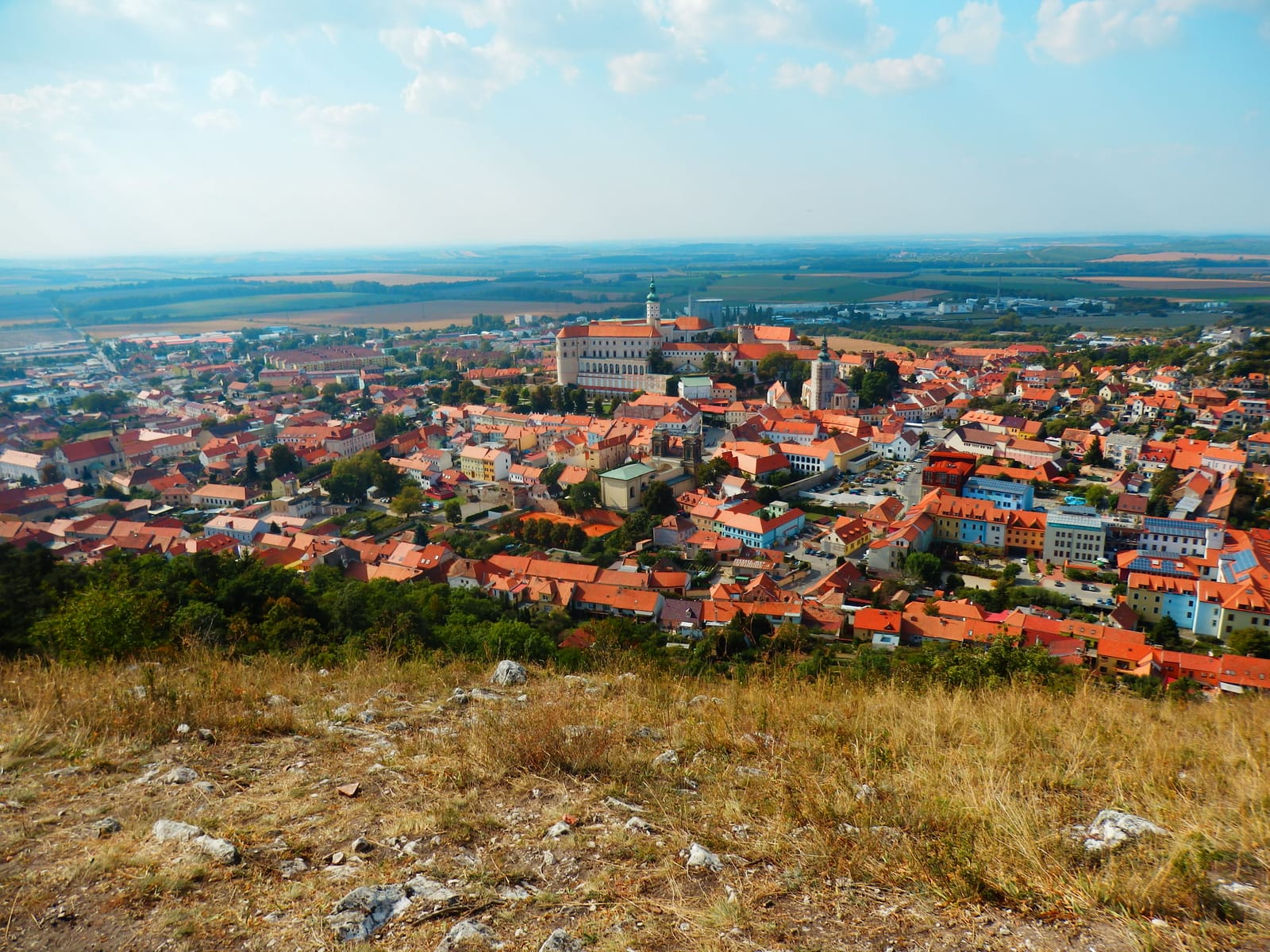 Mikulov: A Small Vineyard Paradise