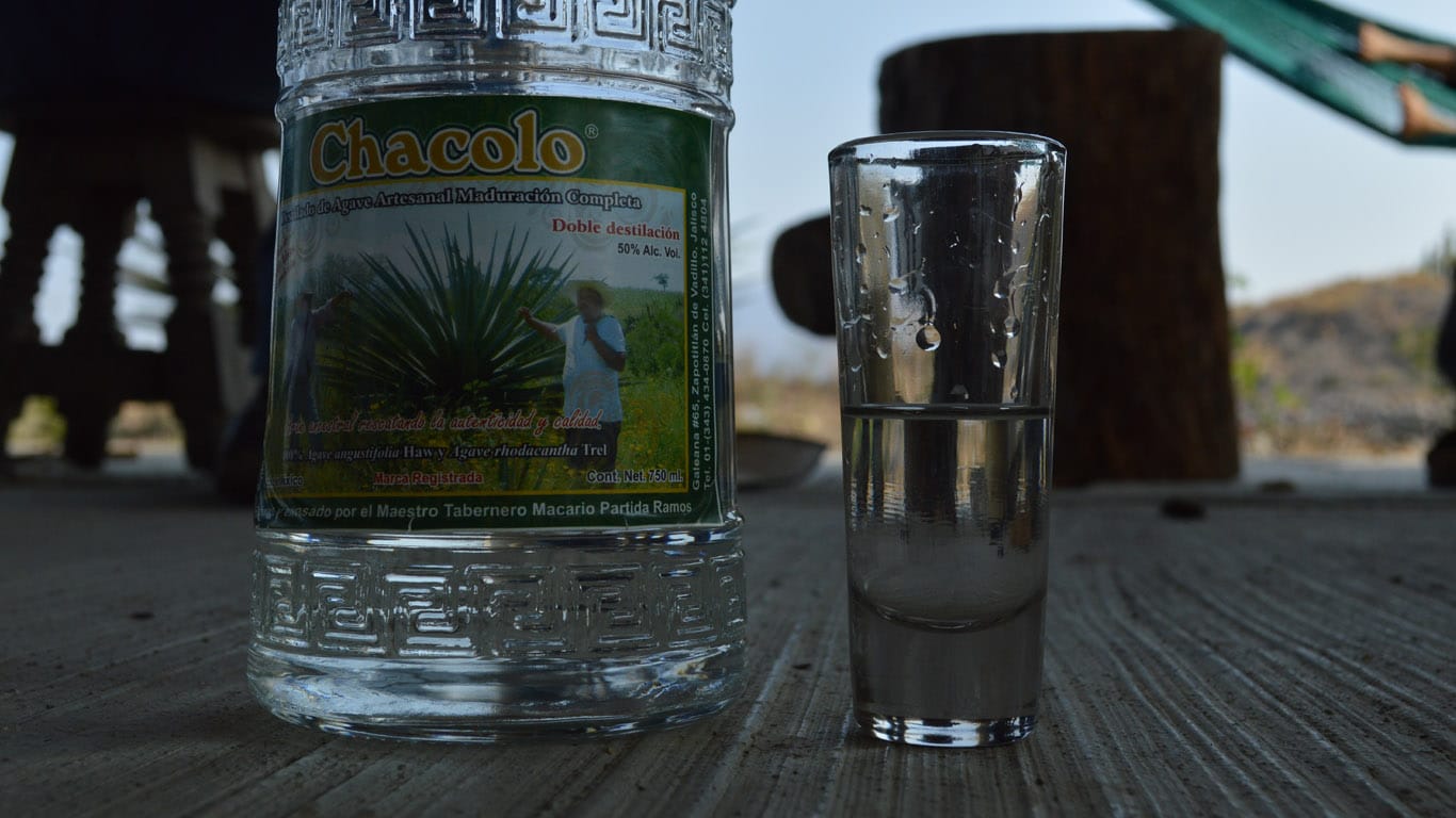 Zapotitlán; the magical drink experience