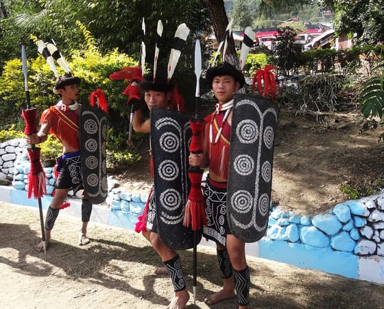 Welcome to Nagaland's Hornbill Festival: photo 9