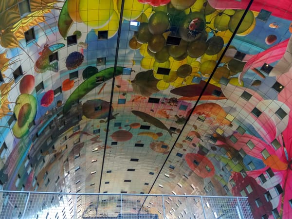 Top 5 cities to visit in the Netherlands: photo 7