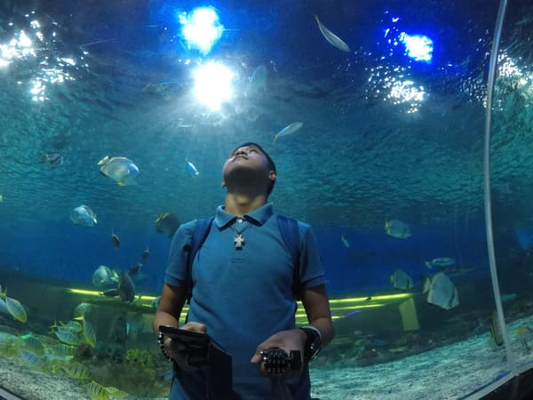 WONDER INSIDE THE OCEAN: Manila Ocean Park: photo 6