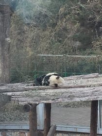 Ideal Itinerary for Beijing Tour: photo 26