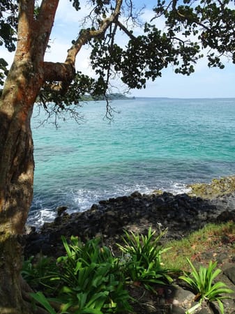 Bocas Del Toro, Panama... A little Slice of Paradise: photo 8
