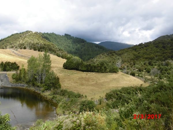 What To Do in Nelson City, New Zealand: photo 1