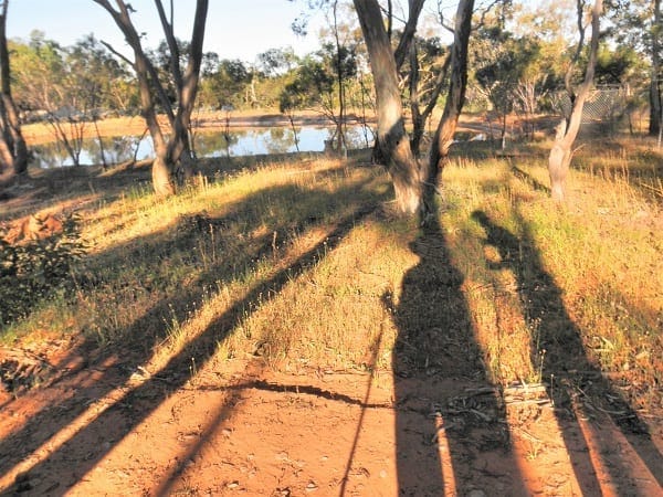 Flinders Ranges: Ancient earth and fascinating wildlife: photo 7