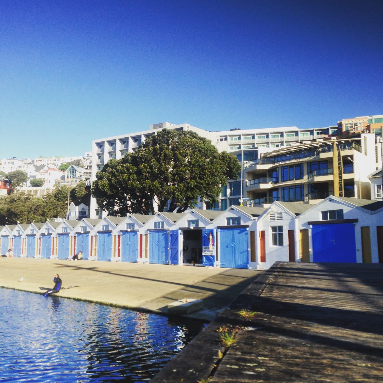 Wellington: the little capital with the big attitude