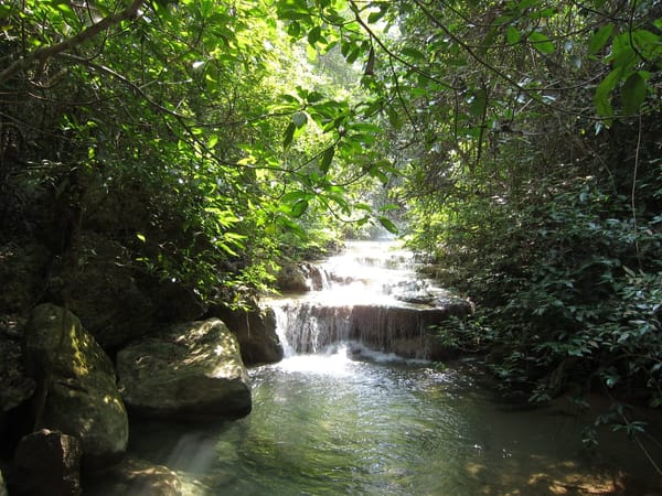 Budget Trip to Thailand - Reconnecting with Nature and Locals: photo 9