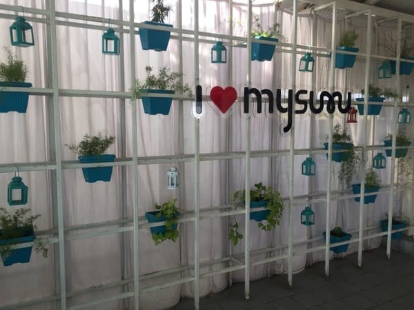 Things to do and see in Mysore: photo 1