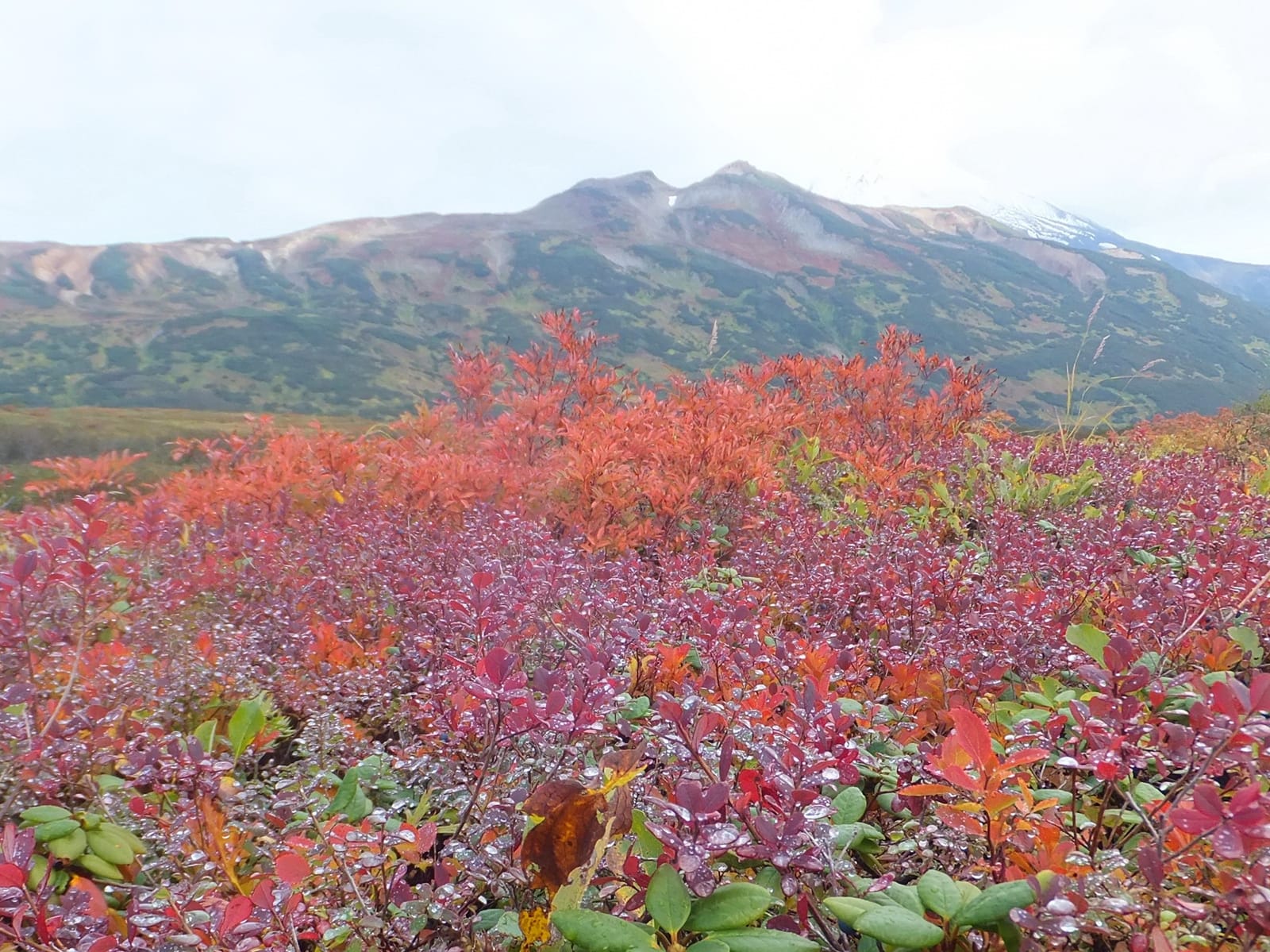 Kamchatka: Prepare Yourselves for Authentic Russia