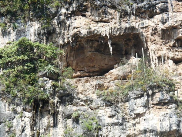 Stunning natural places to practice ecotourism in Chiapas: photo 12