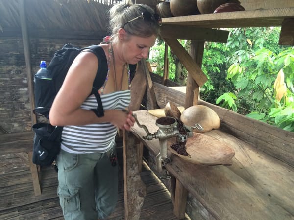 Face to face with amazing wildlife in Costa Rica’s jungle: photo 8