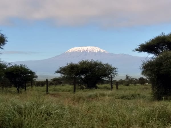 Amboseli Bound, Kajiado County, Kenya: photo 11