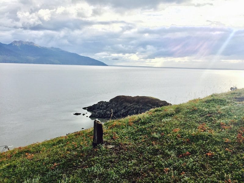 Drive The Turnagain Arm Alaska