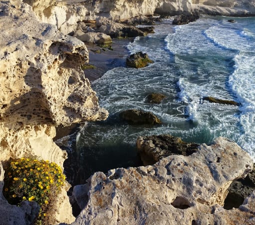 Almeria: paradise of beaches and coves: photo 5