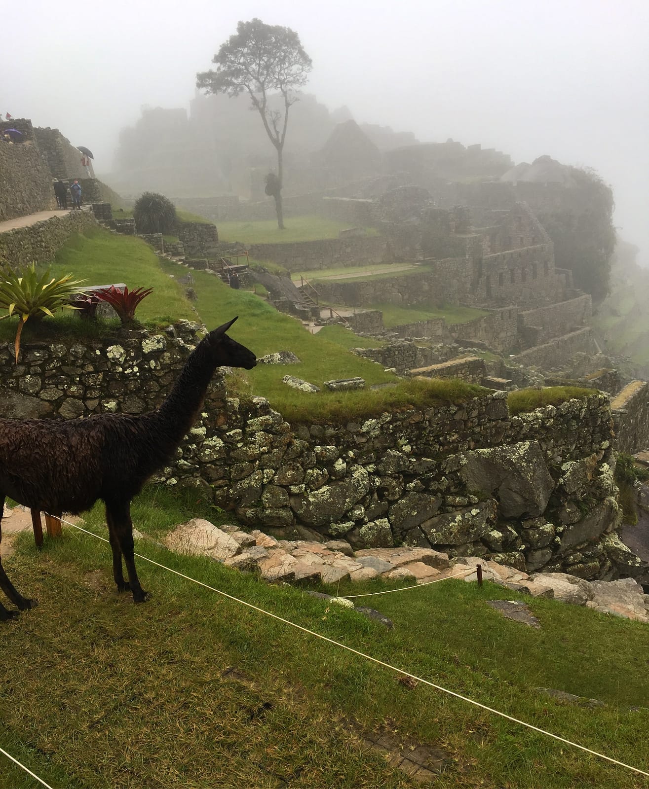 Planning Your Machu Picchu Trip