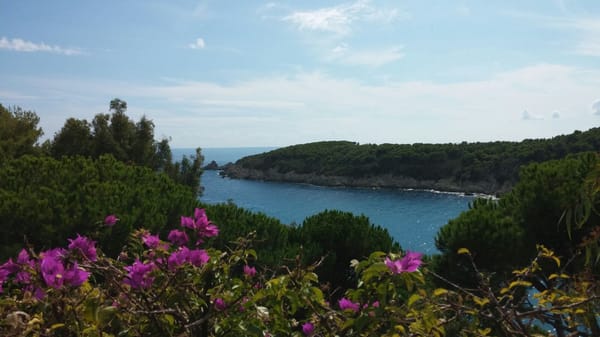 ISOLA D’ELBA:  A LITTLE PARADISE IN THE SEA OF TUSCANY, ITALY: photo 8