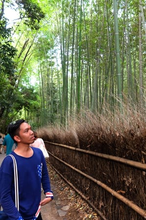 8 Must-See Spots in Kyoto: photo 26