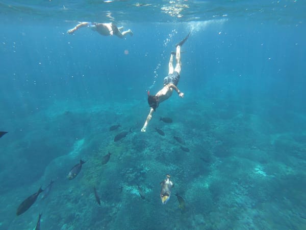 A FRESH TASTE OF BALI, INDONESIA: NUSA PENIDA: photo 8
