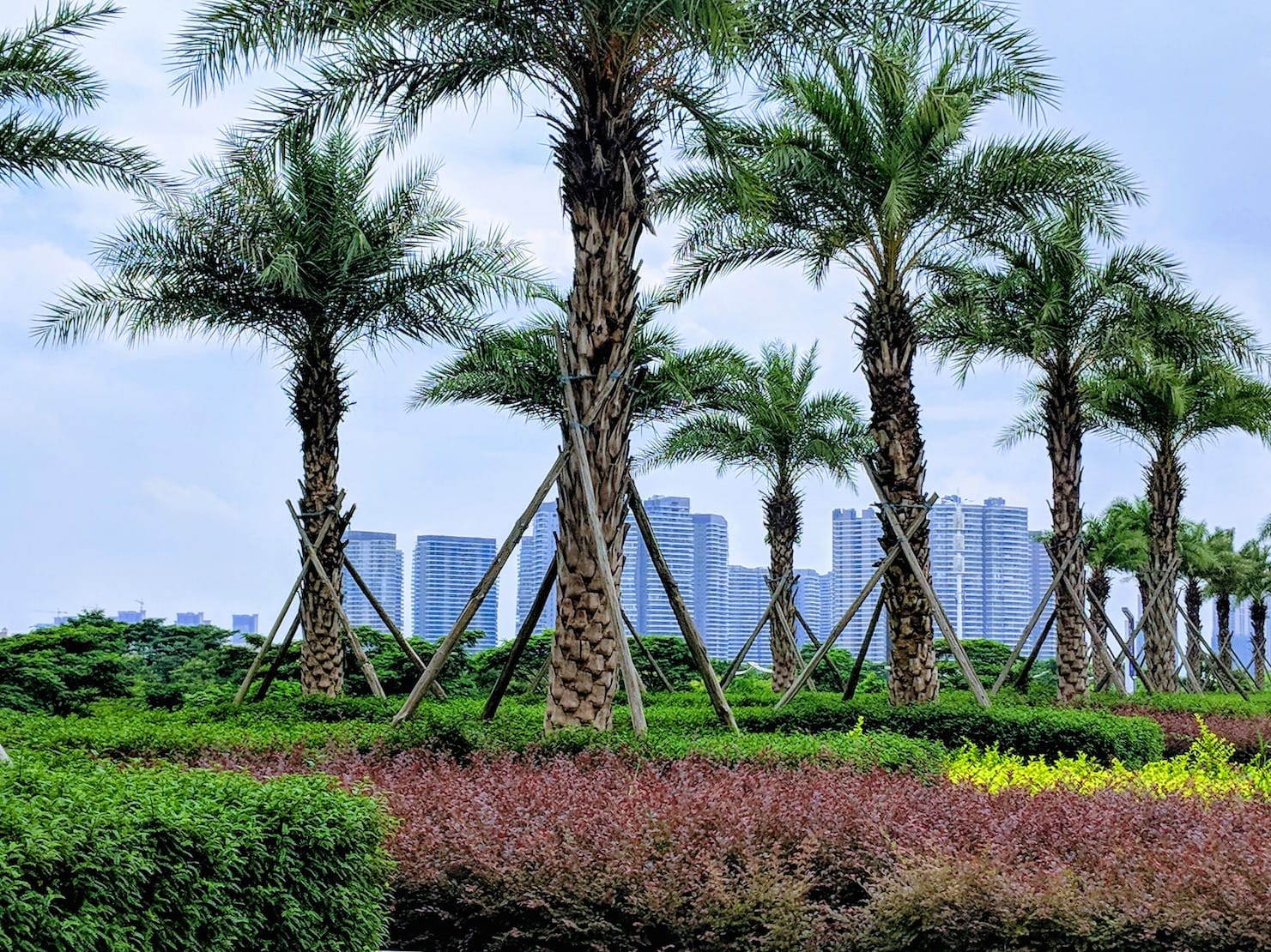 Visit Foshan! The Best Vacation Destination in China