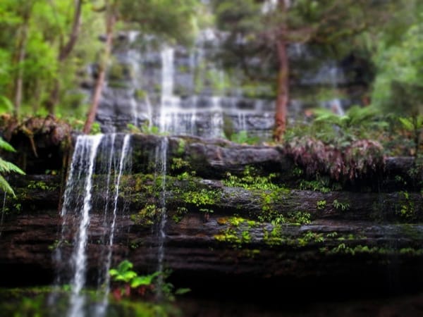 Tasmania:4 places you must visit (Australia): photo 4