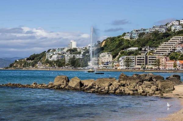 Wellington, New Zealand. Things to do that are free: photo 5
