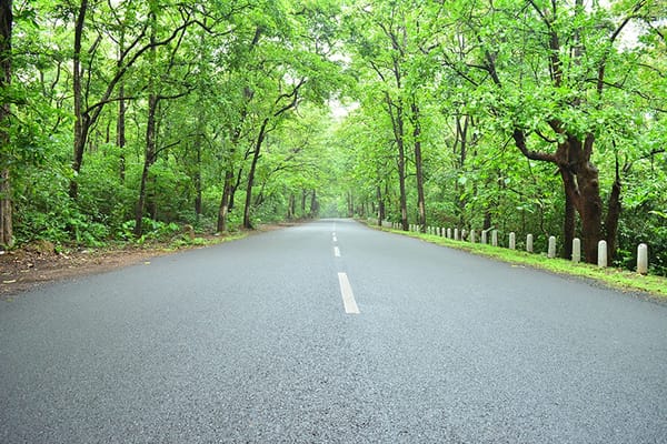Goa : From Panjim to Querim: photo 3
