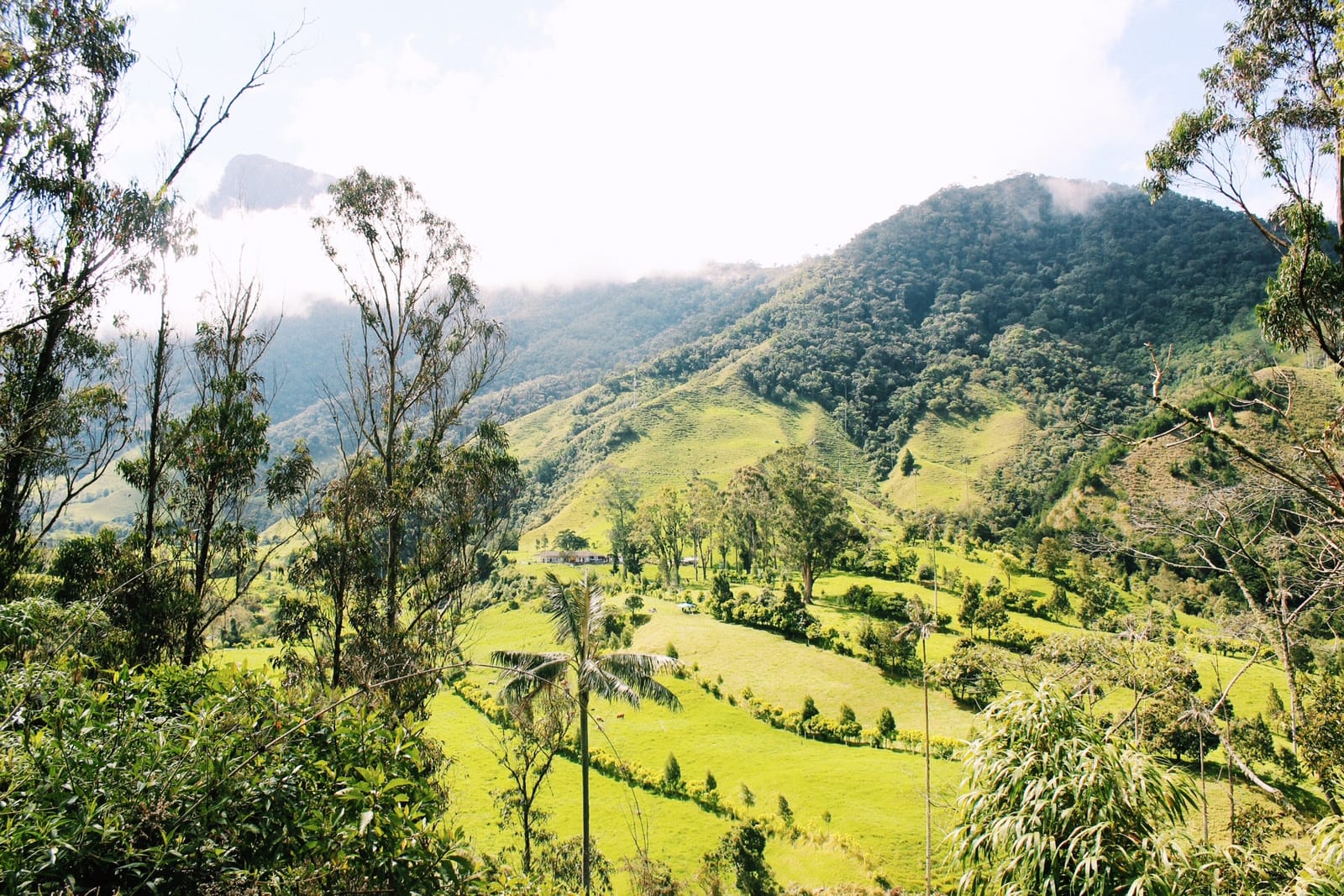 Salento and the Valle de Colombia: Colombia's Coffee Region Gems