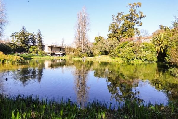 Top 5 parks and gardens in Lisbon: photo 5