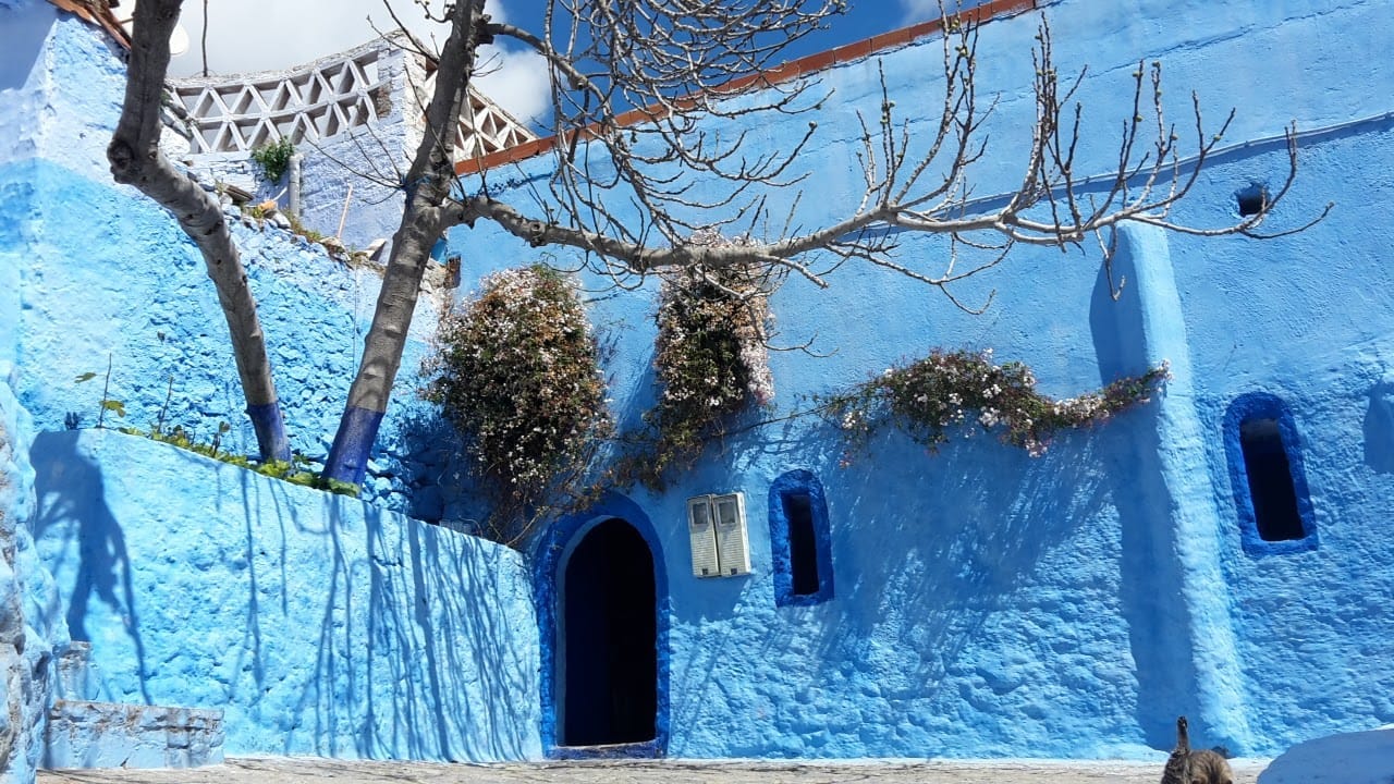Chefchaouen, the blue heart of Morocco