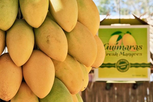Top Tourist Spots in Guimaras, Philippines: photo 1