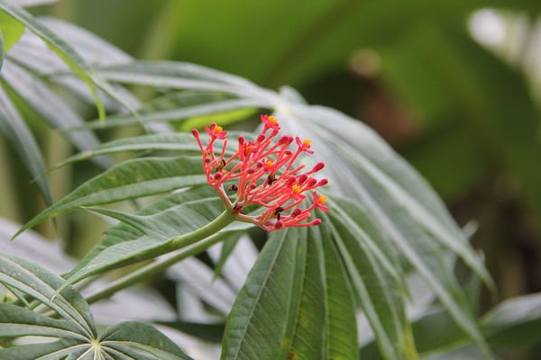 ZANZIBAR: A TROPICAL GETAWAY: photo 3