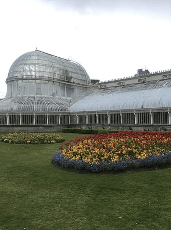 Belfast, North-Ireland: what to do & eat vegan?: photo 1