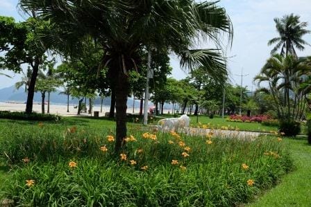 Brazilian culture, history and a beach garden you find in Santos.: photo 5