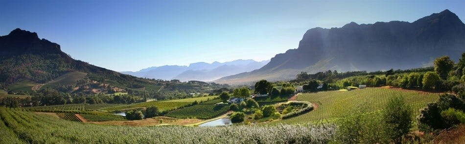 Explore Stellenbosch with insight of locals and deeper meaning.