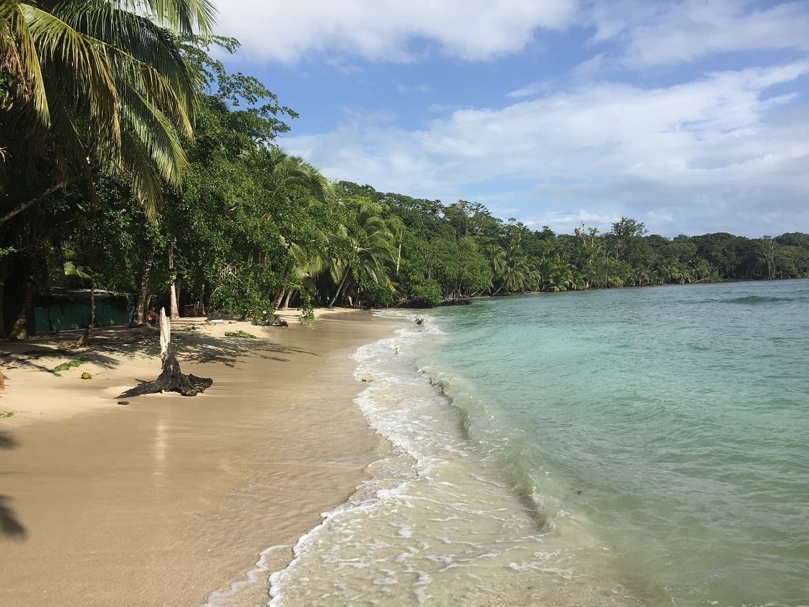 Top 4 Tours in Bocas del Toro